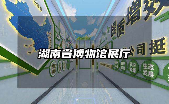 湖南省博物馆展厅