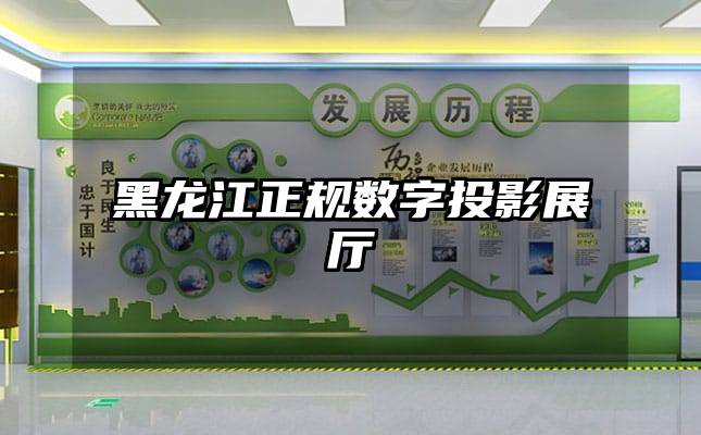 黑龙江正规数字投影展厅