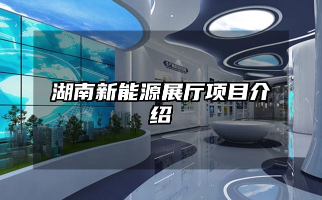 湖南新能源展厅项目介绍