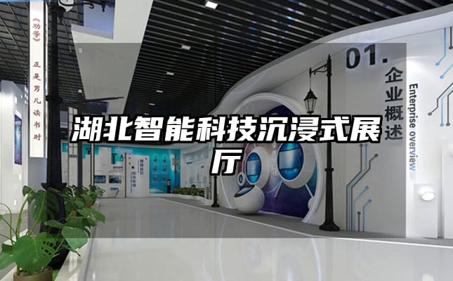湖北智能科技沉浸式展厅